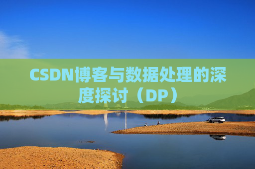 CSDN博客与数据处理的深度探讨（DP）